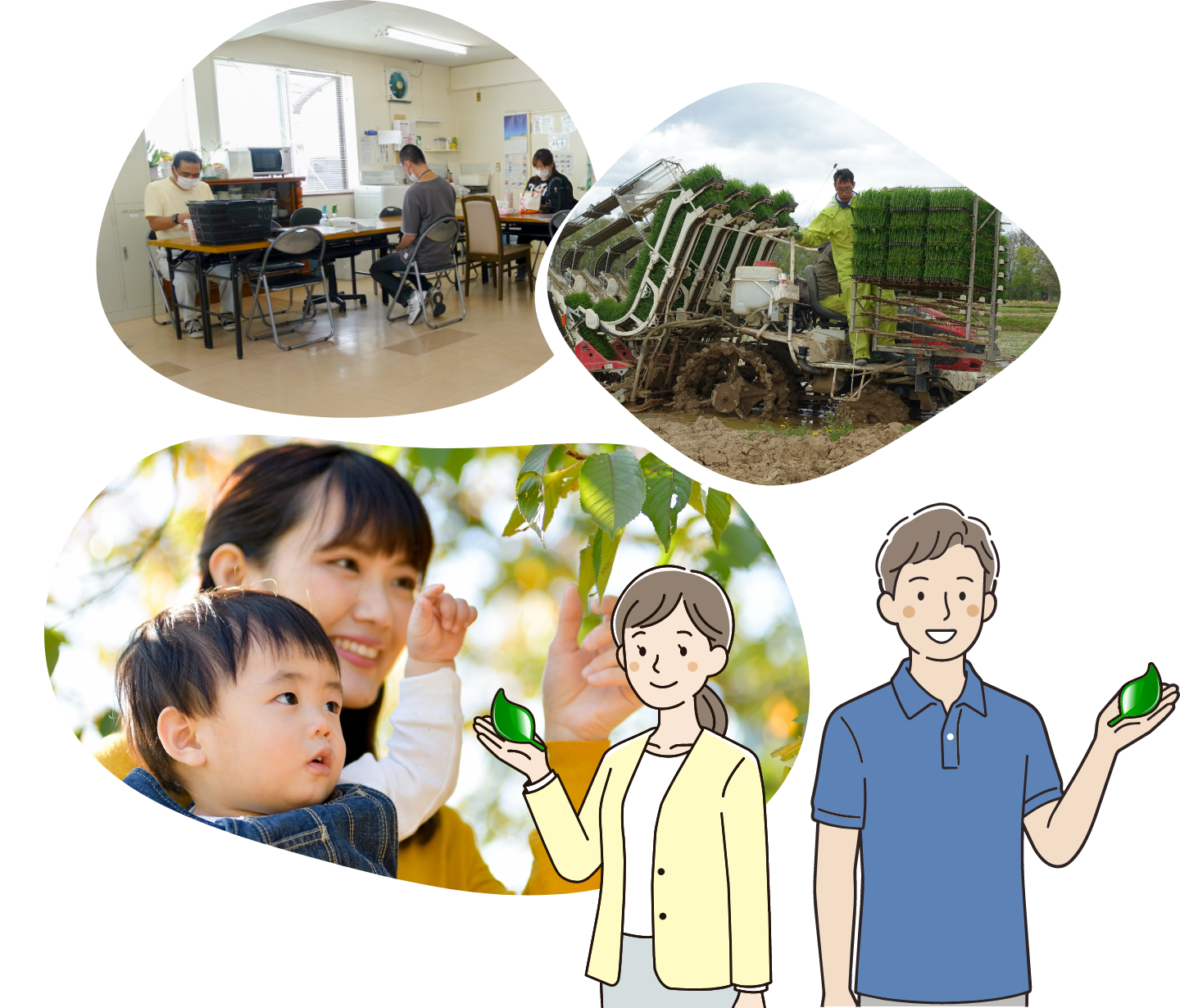 ノースリーフについて